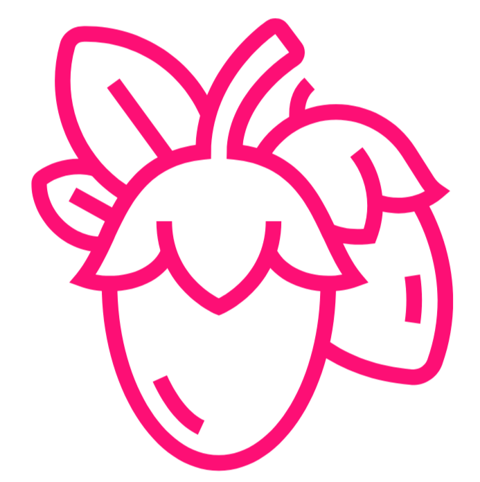 Pink outline of a flower on a white background